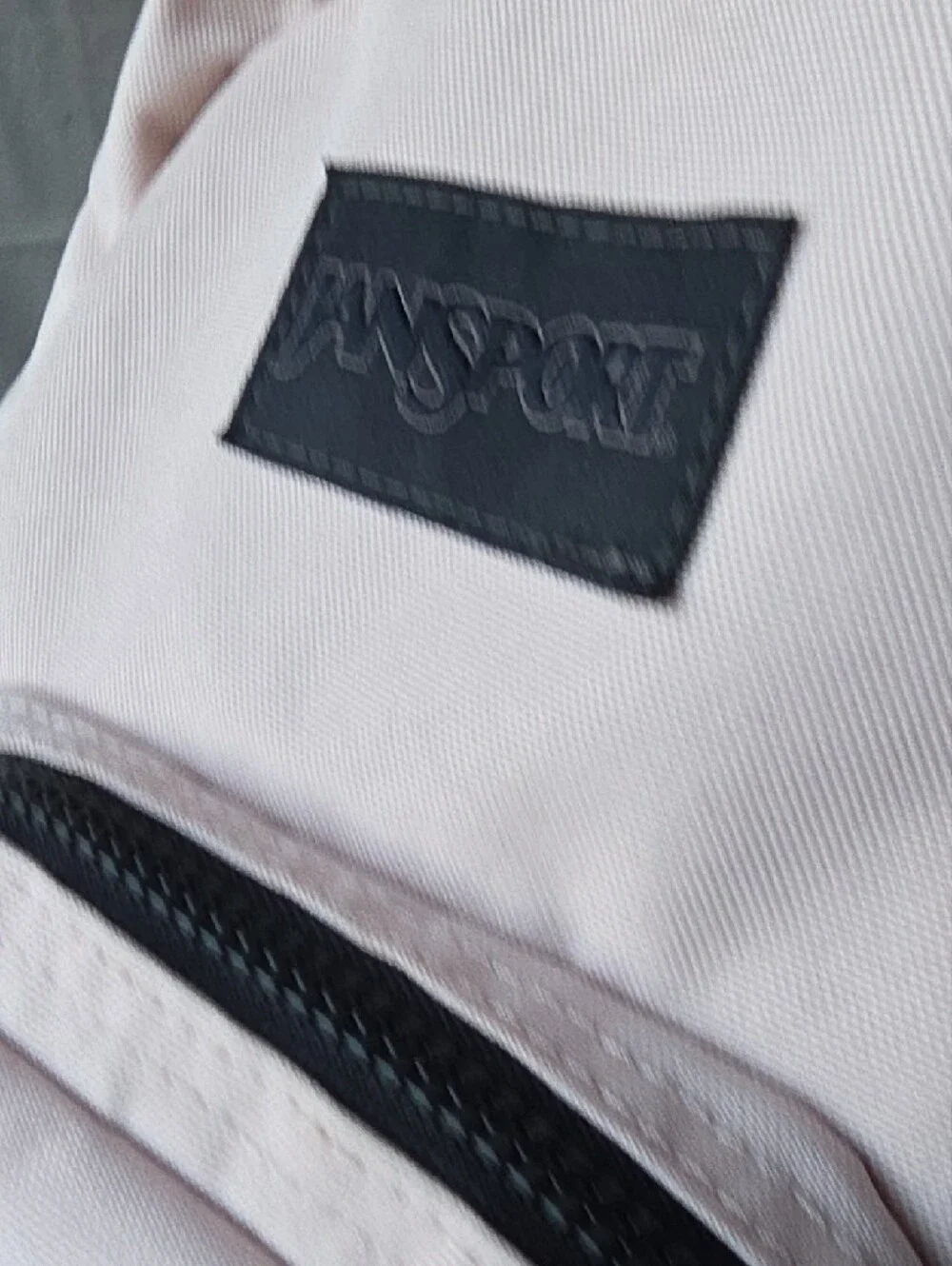 Jansport Mini Pint Backpack in Pale Misty Pink
